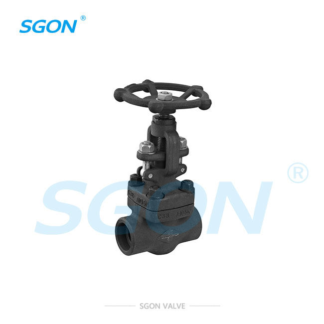 Forged Steel Globe Valve