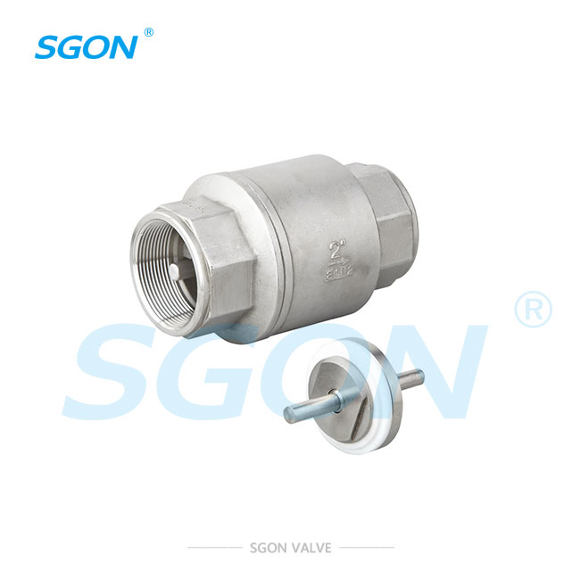 Soft seal vertical check valve