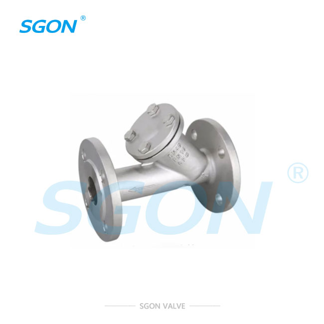 flange strainer