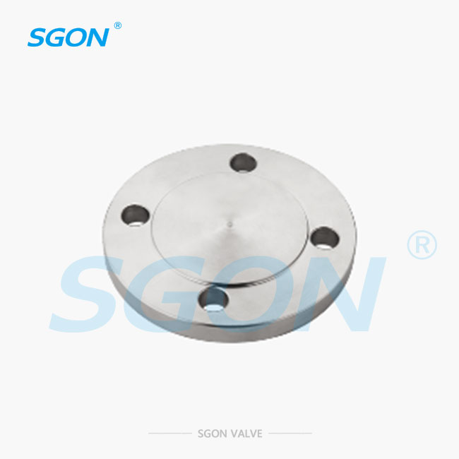 Blind Flange